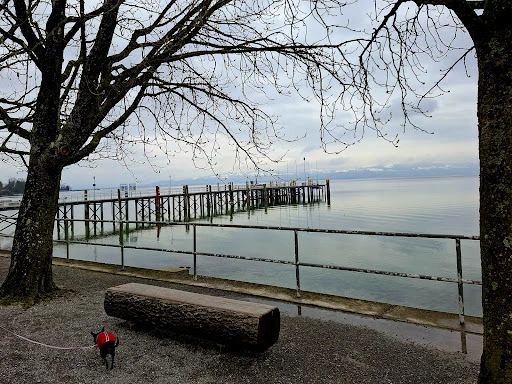 Seegarten photo 9